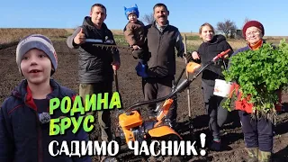 Все буде🇺🇦 Садим ЧАСНИК найпростішим методом.