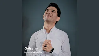 Gelsene