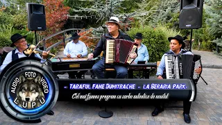 Taraful Fane Dumitrache la Beraria Park - Sarbe vechi autentice - (Covers)