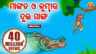 Mankada O Kumbhira Dui Sanga ମାଙ୍କଡ ଓ କୁମ୍ଭୀର ଦୁଇ ସାଙ୍ଗ | Odia Moral Story | Huke Hu Tv