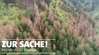 Vor Ort im Renchtal | Zur Sache Baden-Württemberg!