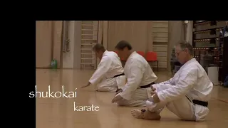 Shukokai Karate