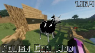 Polish Cow Mod - Minecraft 1.16.4