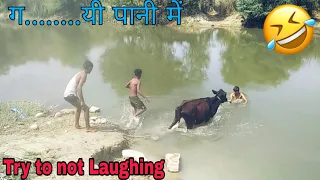 Must Watch New Funny  😁😁 Comedy Videos 2019 Episode - 13  ll Pbh Desi Funny Tv  ll