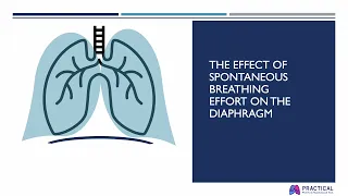 Lung and diaphragm injury in acute hypoxemic respiratory failure