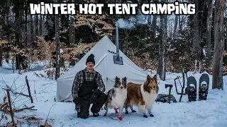 Winter Hot Tent Camping with My Dogs