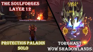 TORGHAST Layer 12 - The Soulforges Walkthrough Guide - Prot Paladin POV Solo - WOW Shadowlands