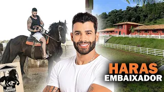 CONHEÇA O HARAS EMBAIXADOR DE GUSTTAVO LIMA