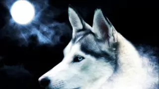 Wolf Relaxation Music