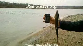 На жереха с мухой Red Killer Fly