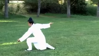 Wudang Five Animal Qi Gong (Complete) 武當五行氣功