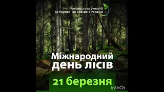 Учнівське лісництво "Лісовичок". Міжнародний день лісу.