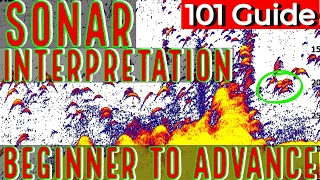 Sonar for Beginners Fish Finder Interpretation Guide, Reading, Advanced, Set Up, Placement, Settings