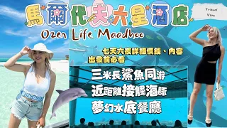 馬爾代夫六星酒店｜六日五夜｜一日三餐全包｜Ozen Life Maadhoo｜與鯊魚浮潛｜過百海豚同游｜旅行指南｜Travel Vlog｜