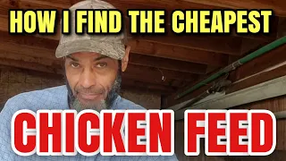 STOP Wasting Money on CHICKEN FEED: Unbelievable Hack Revealed!