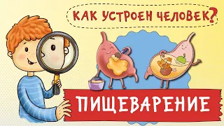 Как устроен человек? Для чего я ем? Пищеварение для детей