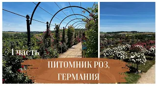 Питомник роз, Германия. Часть1