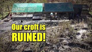 They RUINED Our Croft! 😫 Ep. 265.