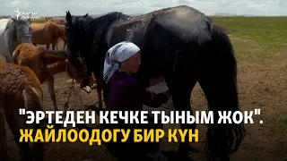 "Эртеден кечке тыным жок". Жайлоодогу бир күн