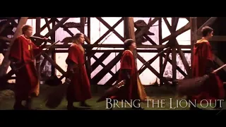 Bring the lion out • Gryffindor quidditch team