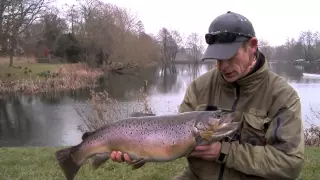 Stalking Big Brown Trout - Fly Fishing Lechlade