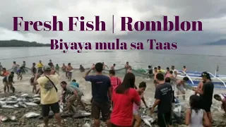 Fresh Island  Fish | Sa Dalampasigan ng Romblon