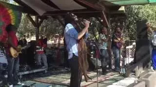 Alborosie LIVE at Reggae On The Mountain 2015