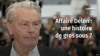 Affaire Delon : une histoire de gros sous ?