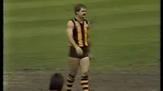 One Day in September   1985 Grand final highlights Ess v Haw