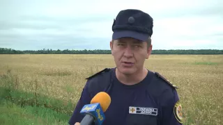 На Первомайщине сгорело поле пшеницы