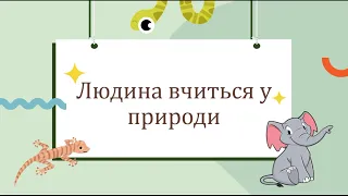 Людина вчиться у природи