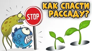 КАК ПРИМЕНЯТЬ БИОКОМПЛЕКС-БТУ? БЫСТРАЯ ЗАЩИТА РАСТЕНИЙ ОТ БОЛЕЗНЕЙ.