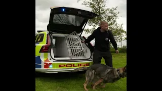 Class of 2024: Meet our trainee police dogs