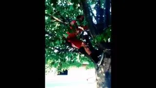 Professional tree climber