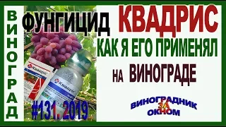 🍇 Фунгицид Квадрис. Универсальный препарат для борьбы с болезнями винограда. Милдью, оидиум.