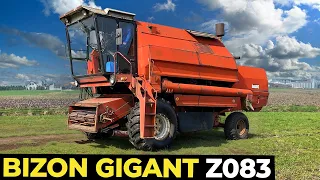 BIZON GIGANT Z083 | JAZDA największym KOMBAJNEM w HISTORII FMŻ !!