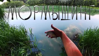 Рыбалка | мормышинг | ловля карася