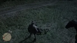 Funny horse kick in Red Dead Redemption 2