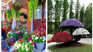 Beautiful garden ideas 2024 | awesome green gardening