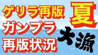 【ガンプラ再販】絶対に欲しいガンプラを探しに行きました！種類豊富に遭遇！！