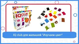 IQ club для малышей "Изучаем цвет"