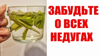 ЯСНЫЙ УМ, ЧИСТЫЕ СОСУДЫ, ЗДОРОВЫЙ КИШЕЧНИК, ПЕЧЕНЬ И ПОЧКИ КАК НОВЫЕ! ЛЕЖАЧЕГО ПОДНИМЕТ!