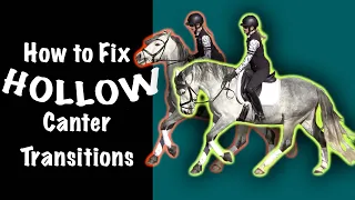 The Canter Transition - How to Keep your Horse from Hollowing!