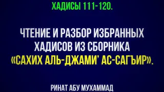 12. «Сахих аль-Джами’ ас-Сагъир». Хадисы 111-120. || Ринат Абу Мухаммад