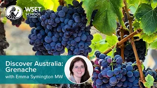 Discover Australia: Grenache