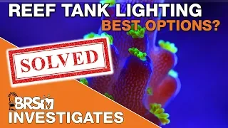 Lighting your tank. You ask, we test! | BRStv Investigates