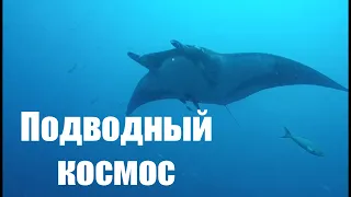 DIVING. Дайвинг в Мексике. КРАСОТИЩА НЕВЕРОЯТНАЯ!!!