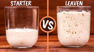 Sourdough Starter and Leaven Explained | Are They The Same Thing?