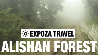 The Alishan Forest Railway Vacation Travel Video Guide
