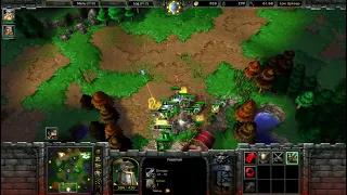 1v1 Against Insane AI - Level 8 Mountain King, Level 7 Paladin - WC3